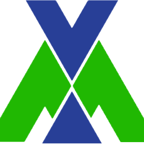 VMT GLOBAL SOLUTIONS